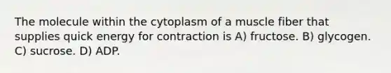 The molecule within the cytoplasm of a muscle fiber that supplies quick energy for contraction is A) fructose. B) glycogen. C) sucrose. D) ADP.