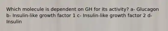 Which molecule is dependent on GH for its activity? a- Glucagon b- Insulin-like growth factor 1 c- Insulin-like growth factor 2 d- Insulin