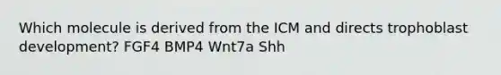 Which molecule is derived from the ICM and directs trophoblast development? FGF4 BMP4 Wnt7a Shh