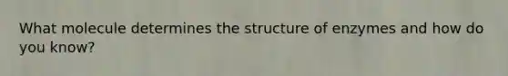 What molecule determines the structure of enzymes and how do you know?