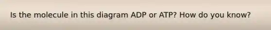 Is the molecule in this diagram ADP or ATP? How do you know?