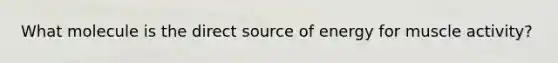What molecule is the direct source of energy for muscle activity?