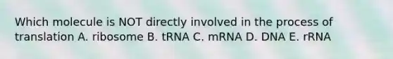 Which molecule is NOT directly involved in the process of translation A. ribosome B. tRNA C. mRNA D. DNA E. rRNA