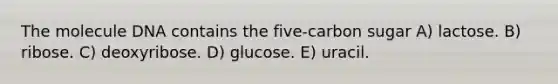 The molecule DNA contains the five-carbon sugar A) lactose. B) ribose. C) deoxyribose. D) glucose. E) uracil.