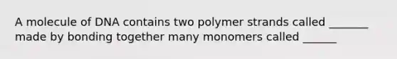 A molecule of DNA contains two polymer strands called _______ made by bonding together many monomers called ______