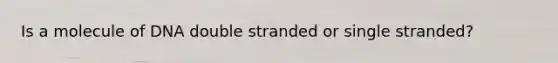 Is a molecule of DNA double stranded or single stranded?