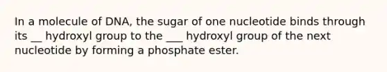 In a molecule of DNA, the sugar of one nucleotide binds through its __ hydroxyl group to the ___ hydroxyl group of the next nucleotide by forming a phosphate ester.