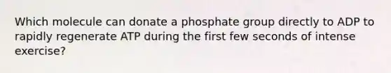 Which molecule can donate a phosphate group directly to ADP to rapidly regenerate ATP during the first few seconds of intense exercise?