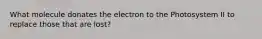 What molecule donates the electron to the Photosystem II to replace those that are lost?