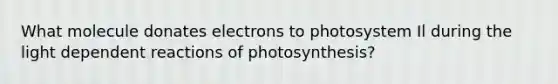 What molecule donates electrons to photosystem Il during the light dependent reactions of photosynthesis?