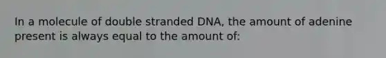 In a molecule of double stranded DNA, the amount of adenine present is always equal to the amount of: