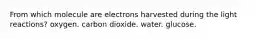 From which molecule are electrons harvested during the light reactions? oxygen. carbon dioxide. water. glucose.