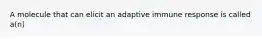 A molecule that can elicit an adaptive immune response is called a(n)