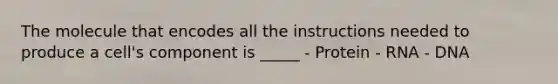 The molecule that encodes all the instructions needed to produce a cell's component is _____ - Protein - RNA - DNA