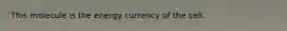 This molecule is the energy currency of the cell.
