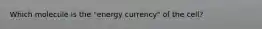 Which molecule is the "energy currency" of the cell?