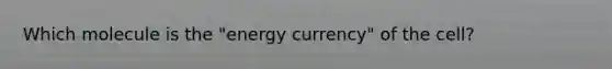 Which molecule is the "energy currency" of the cell?