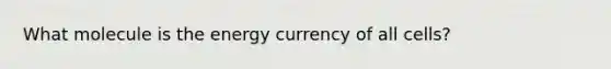 What molecule is the energy currency of all cells?