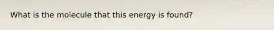 What is the molecule that this energy is found?