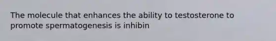 The molecule that enhances the ability to testosterone to promote spermatogenesis is inhibin