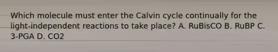 Which molecule must enter the Calvin cycle continually for the light-independent reactions to take place? A. RuBisCO B. RuBP C. 3-PGA D. CO2