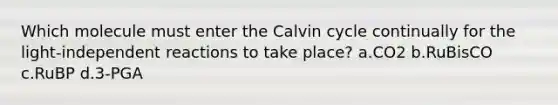 Which molecule must enter the Calvin cycle continually for the light-independent reactions to take place? a.CO2 b.RuBisCO c.RuBP d.3-PGA