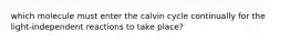 which molecule must enter the calvin cycle continually for the light-independent reactions to take place?