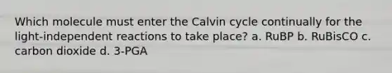 Which molecule must enter the Calvin cycle continually for the light-independent reactions to take place? a. RuBP b. RuBisCO c. carbon dioxide d. 3-PGA