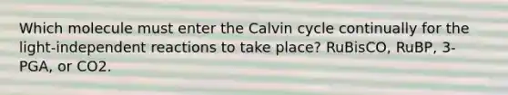 Which molecule must enter the Calvin cycle continually for the light-independent reactions to take place? RuBisCO, RuBP, 3-PGA, or CO2.