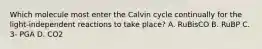 Which molecule most enter the Calvin cycle continually for the light-independent reactions to take place? A. RuBisCO B. RuBP C. 3- PGA D. CO2