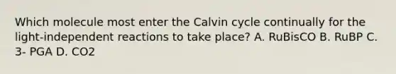 Which molecule most enter the Calvin cycle continually for the light-independent reactions to take place? A. RuBisCO B. RuBP C. 3- PGA D. CO2