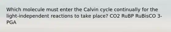 Which molecule must enter the Calvin cycle continually for the light-independent reactions to take place? CO2 RuBP RuBisCO 3-PGA