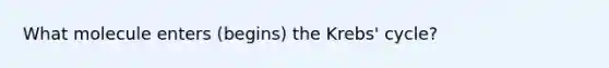 What molecule enters (begins) the Krebs' cycle?