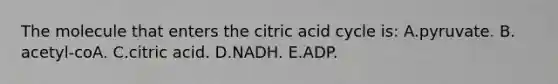 The molecule that enters the citric acid cycle is: A.pyruvate. B. acetyl-coA. C.citric acid. D.NADH. E.ADP.