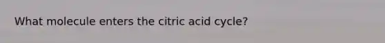 What molecule enters the citric acid cycle?