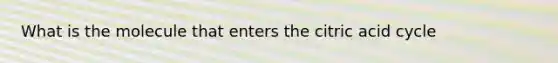 What is the molecule that enters the citric acid cycle