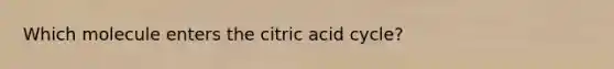 Which molecule enters the citric acid cycle?