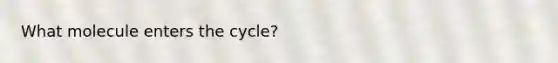 What molecule enters the cycle?