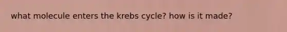 what molecule enters the krebs cycle? how is it made?