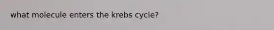 what molecule enters the krebs cycle?