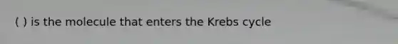 ( ) is the molecule that enters the Krebs cycle