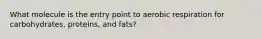 What molecule is the entry point to aerobic respiration for carbohydrates, proteins, and fats?