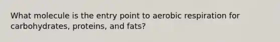 What molecule is the entry point to aerobic respiration for carbohydrates, proteins, and fats?