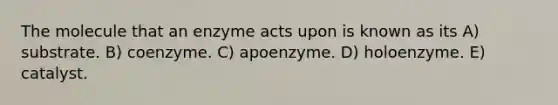 The molecule that an enzyme acts upon is known as its A) substrate. B) coenzyme. C) apoenzyme. D) holoenzyme. E) catalyst.