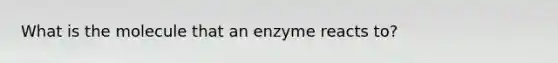 What is the molecule that an enzyme reacts to?