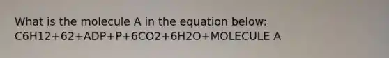 What is the molecule A in the equation below: C6H12+62+ADP+P+6CO2+6H2O+MOLECULE A