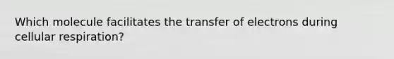 Which molecule facilitates the transfer of electrons during cellular respiration?