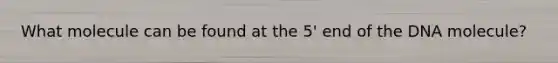 What molecule can be found at the 5' end of the DNA molecule?