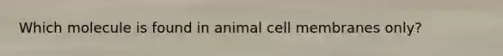 Which molecule is found in animal cell membranes only?