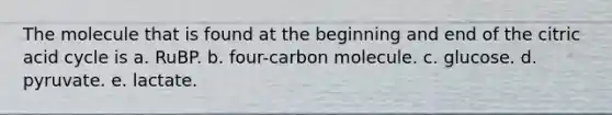 The molecule that is found at the beginning and end of the citric acid cycle is a. RuBP. b. four-carbon molecule. c. glucose. d. pyruvate. e. lactate.